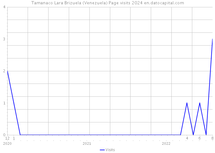 Tamanaco Lara Brizuela (Venezuela) Page visits 2024 