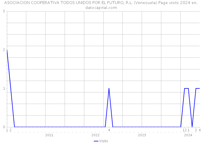 ASOCIACION COOPERATIVA TODOS UNIDOS POR EL FUTURO, R.L. (Venezuela) Page visits 2024 