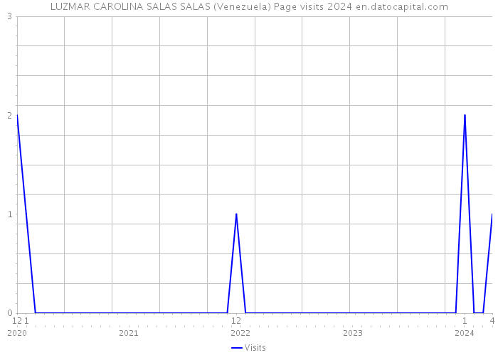 LUZMAR CAROLINA SALAS SALAS (Venezuela) Page visits 2024 