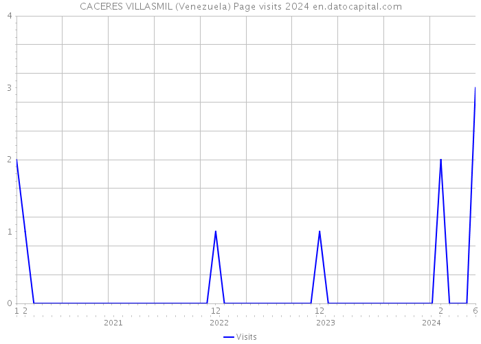 CACERES VILLASMIL (Venezuela) Page visits 2024 