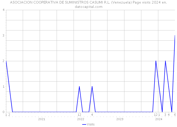 ASOCIACION COOPERATIVA DE SUMINISTROS CASUMI R.L. (Venezuela) Page visits 2024 