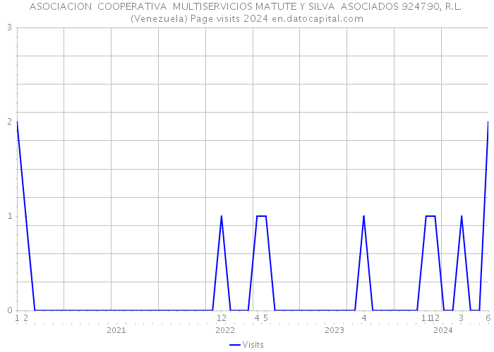 ASOCIACION COOPERATIVA MULTISERVICIOS MATUTE Y SILVA ASOCIADOS 924790, R.L. (Venezuela) Page visits 2024 