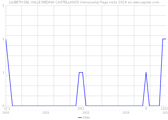 LILIBETH DEL VALLE MEDINA CASTELLANOS (Venezuela) Page visits 2024 