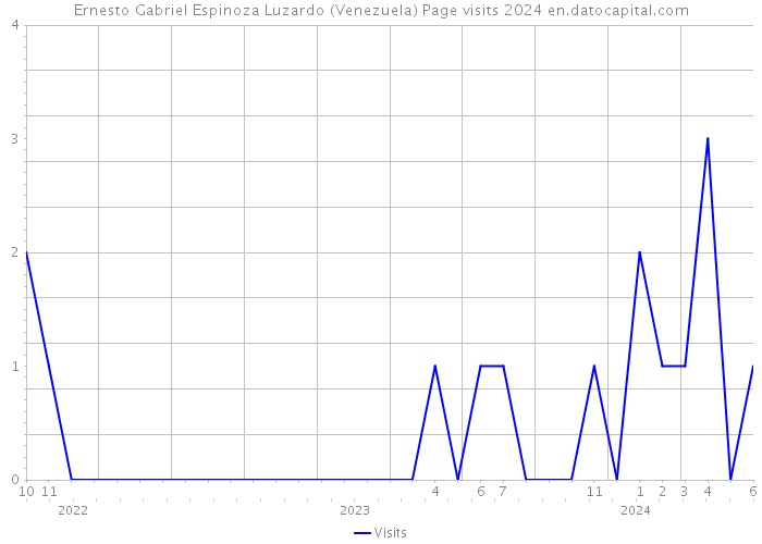 Ernesto Gabriel Espinoza Luzardo (Venezuela) Page visits 2024 