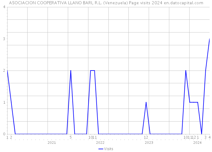 ASOCIACION COOPERATIVA LLANO BARI, R.L. (Venezuela) Page visits 2024 