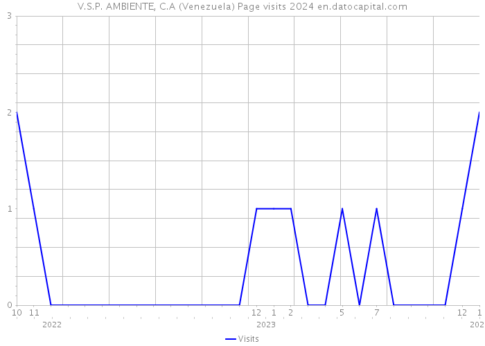 V.S.P. AMBIENTE, C.A (Venezuela) Page visits 2024 