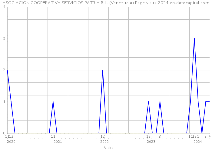 ASOCIACION COOPERATIVA SERVICIOS PATRIA R.L. (Venezuela) Page visits 2024 