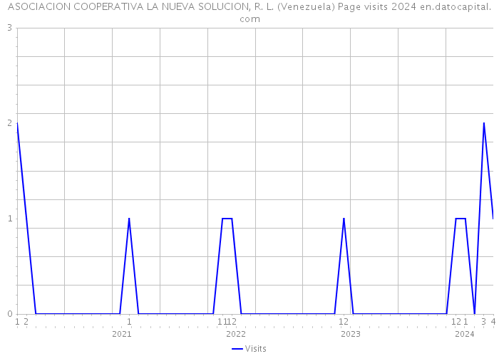 ASOCIACION COOPERATIVA LA NUEVA SOLUCION, R. L. (Venezuela) Page visits 2024 