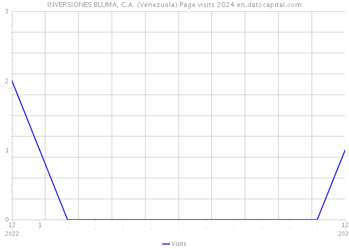 INVERSIONES BLUMA, C.A. (Venezuela) Page visits 2024 