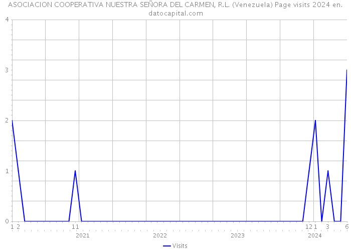 ASOCIACION COOPERATIVA NUESTRA SEÑORA DEL CARMEN, R.L. (Venezuela) Page visits 2024 