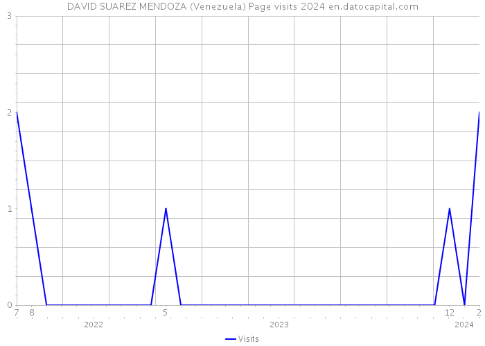 DAVID SUAREZ MENDOZA (Venezuela) Page visits 2024 