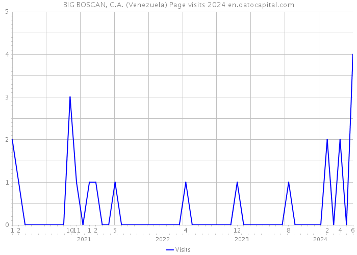 BIG BOSCAN, C.A. (Venezuela) Page visits 2024 