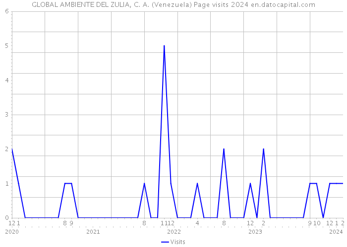 GLOBAL AMBIENTE DEL ZULIA, C. A. (Venezuela) Page visits 2024 