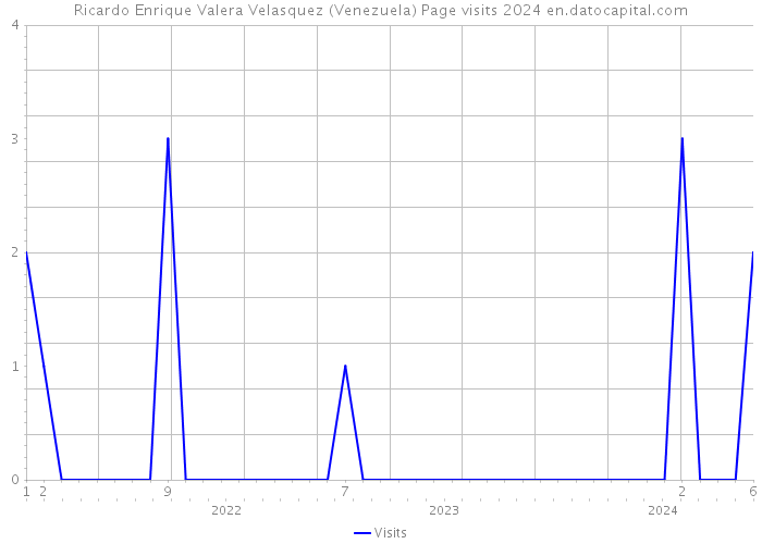 Ricardo Enrique Valera Velasquez (Venezuela) Page visits 2024 