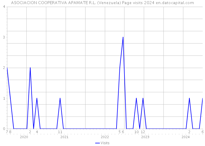 ASOCIACION COOPERATIVA APAMATE R.L. (Venezuela) Page visits 2024 