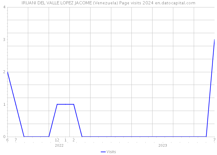 IRUANI DEL VALLE LOPEZ JACOME (Venezuela) Page visits 2024 