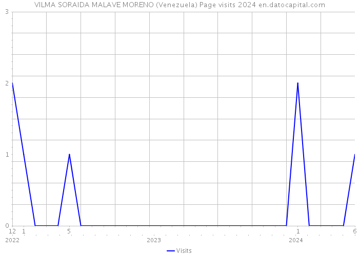 VILMA SORAIDA MALAVE MORENO (Venezuela) Page visits 2024 