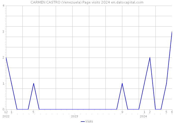 CARMEN CASTRO (Venezuela) Page visits 2024 