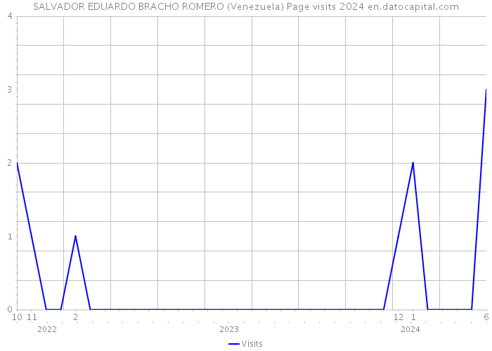 SALVADOR EDUARDO BRACHO ROMERO (Venezuela) Page visits 2024 