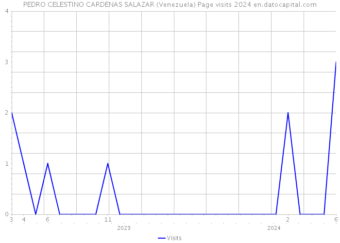 PEDRO CELESTINO CARDENAS SALAZAR (Venezuela) Page visits 2024 