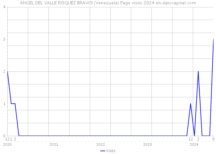 ANGEL DEL VALLE RISQUEZ BRAVOI (Venezuela) Page visits 2024 