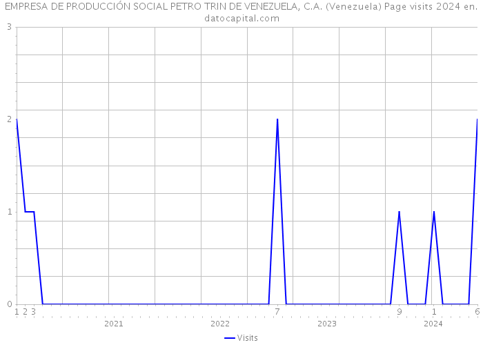 EMPRESA DE PRODUCCIÓN SOCIAL PETRO TRIN DE VENEZUELA, C.A. (Venezuela) Page visits 2024 