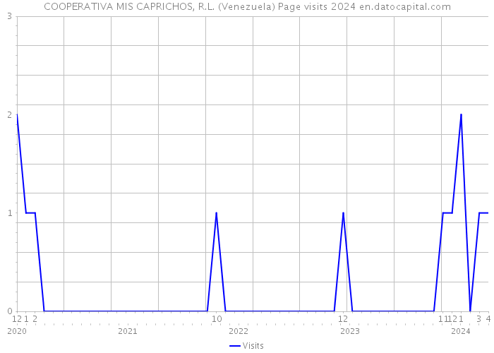 COOPERATIVA MIS CAPRICHOS, R.L. (Venezuela) Page visits 2024 