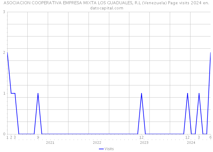 ASOCIACION COOPERATIVA EMPRESA MIXTA LOS GUADUALES, R.L (Venezuela) Page visits 2024 