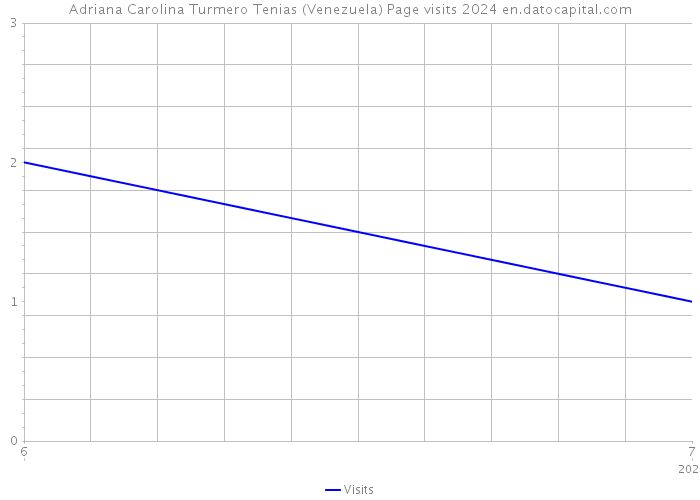 Adriana Carolina Turmero Tenias (Venezuela) Page visits 2024 