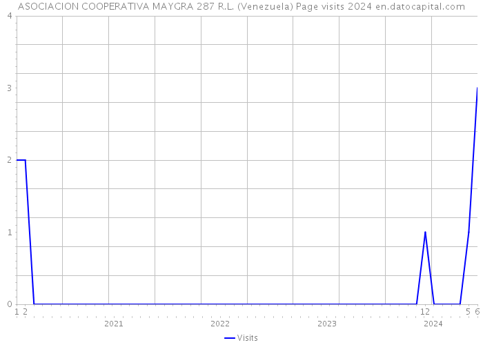ASOCIACION COOPERATIVA MAYGRA 287 R.L. (Venezuela) Page visits 2024 