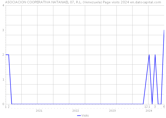 ASOCIACION COOPERATIVA NATANAEL 07, R.L. (Venezuela) Page visits 2024 