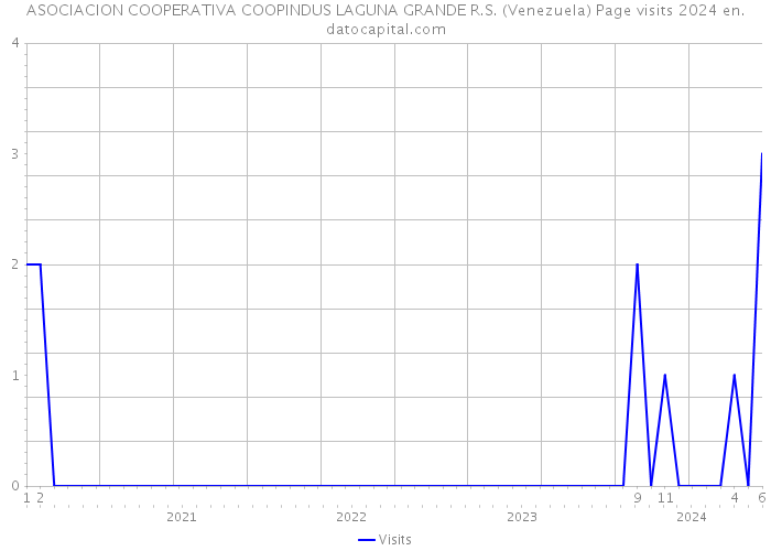 ASOCIACION COOPERATIVA COOPINDUS LAGUNA GRANDE R.S. (Venezuela) Page visits 2024 