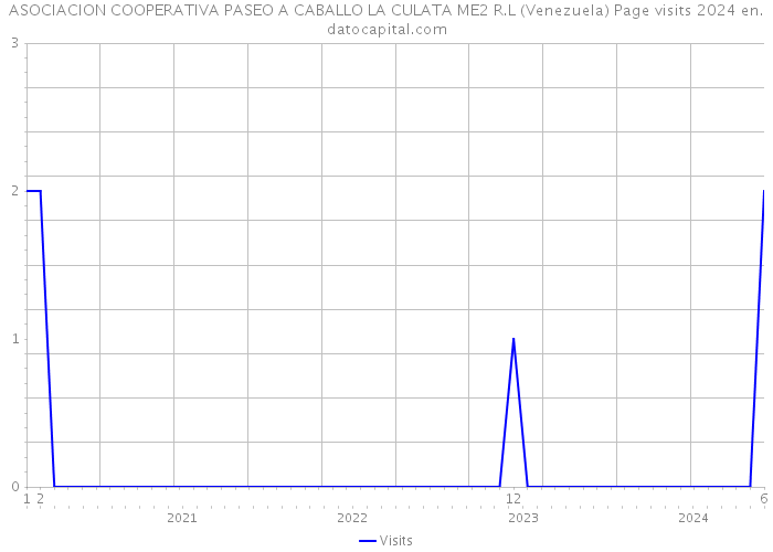 ASOCIACION COOPERATIVA PASEO A CABALLO LA CULATA ME2 R.L (Venezuela) Page visits 2024 