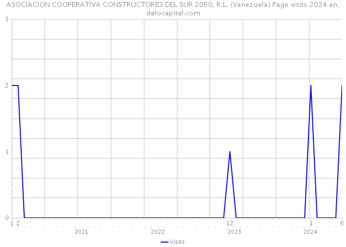 ASOCIACION COOPERATIVA CONSTRUCTORES DEL SUR 2050, R.L. (Venezuela) Page visits 2024 