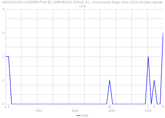 ASOCIACION COOPERATIVA EL CAMORUCO 20024, R.L. (Venezuela) Page visits 2024 