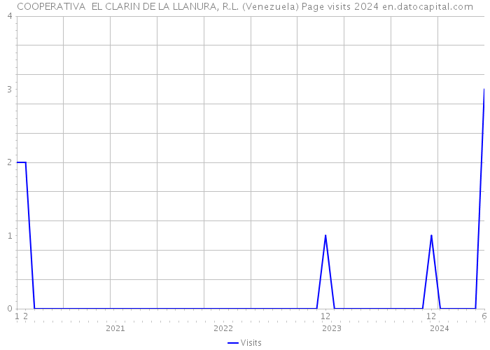 COOPERATIVA EL CLARIN DE LA LLANURA, R.L. (Venezuela) Page visits 2024 