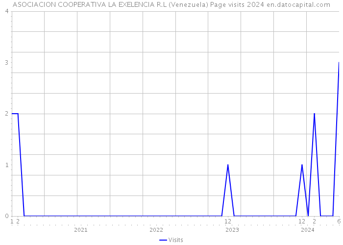 ASOCIACION COOPERATIVA LA EXELENCIA R.L (Venezuela) Page visits 2024 