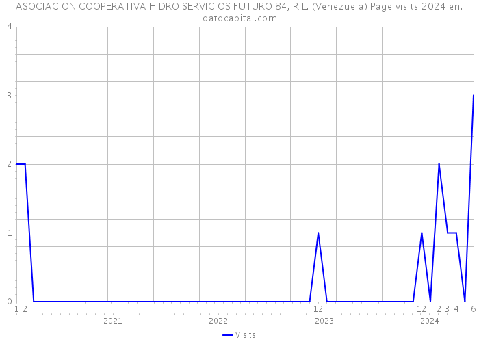 ASOCIACION COOPERATIVA HIDRO SERVICIOS FUTURO 84, R.L. (Venezuela) Page visits 2024 