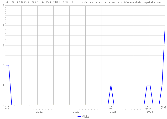 ASOCIACION COOPERATIVA GRUPO 3001, R.L. (Venezuela) Page visits 2024 