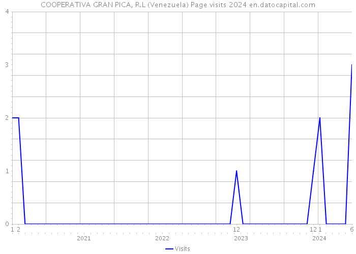 COOPERATIVA GRAN PICA, R.L (Venezuela) Page visits 2024 