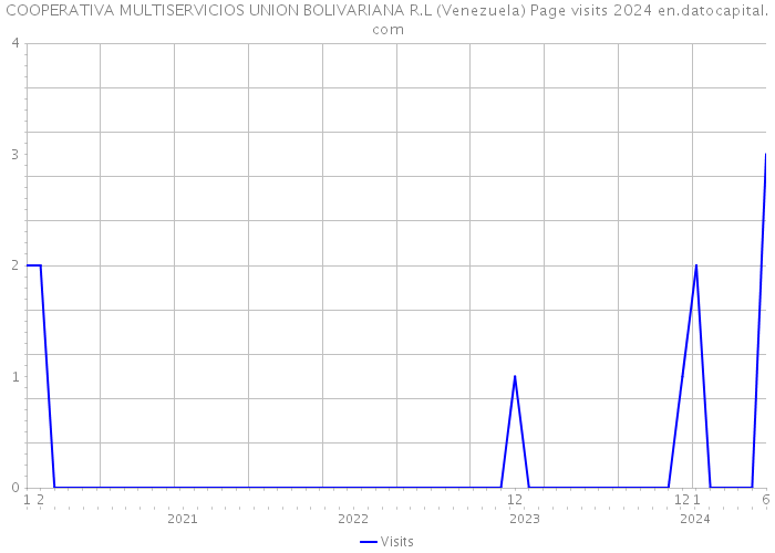 COOPERATIVA MULTISERVICIOS UNION BOLIVARIANA R.L (Venezuela) Page visits 2024 