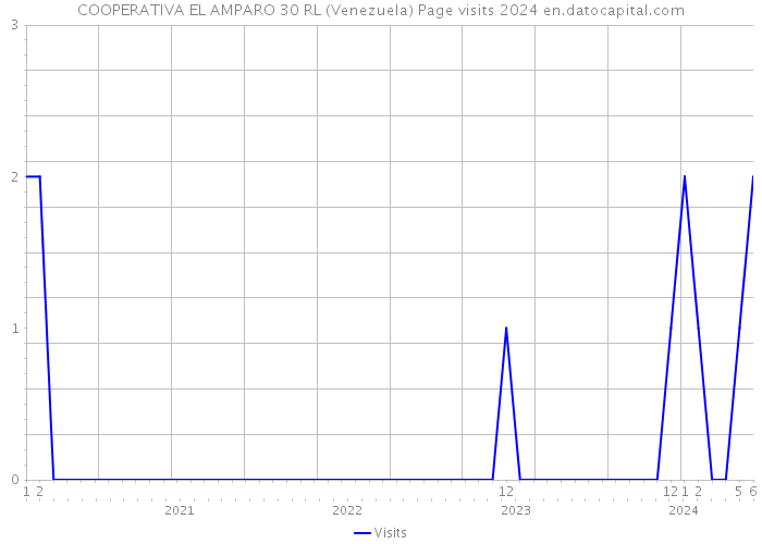 COOPERATIVA EL AMPARO 30 RL (Venezuela) Page visits 2024 