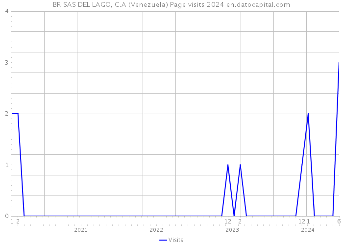 BRISAS DEL LAGO, C.A (Venezuela) Page visits 2024 