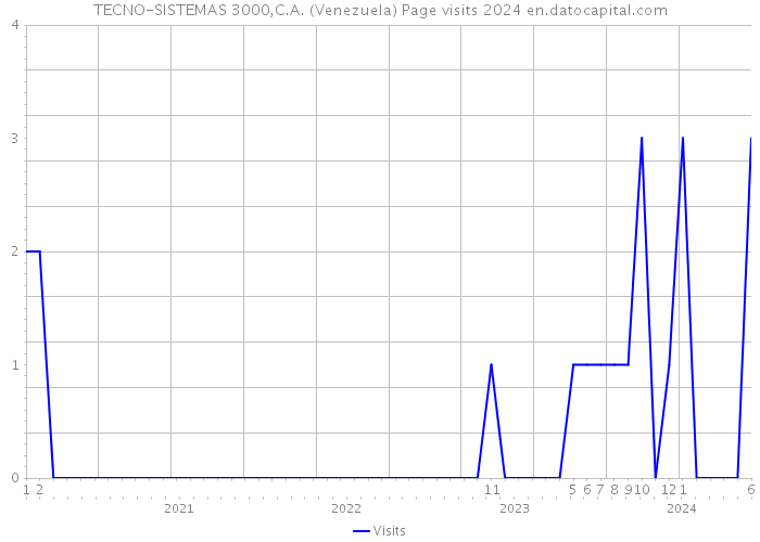 TECNO-SISTEMAS 3000,C.A. (Venezuela) Page visits 2024 
