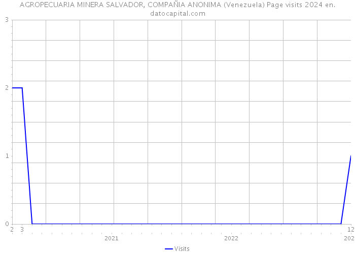 AGROPECUARIA MINERA SALVADOR, COMPAÑIA ANONIMA (Venezuela) Page visits 2024 