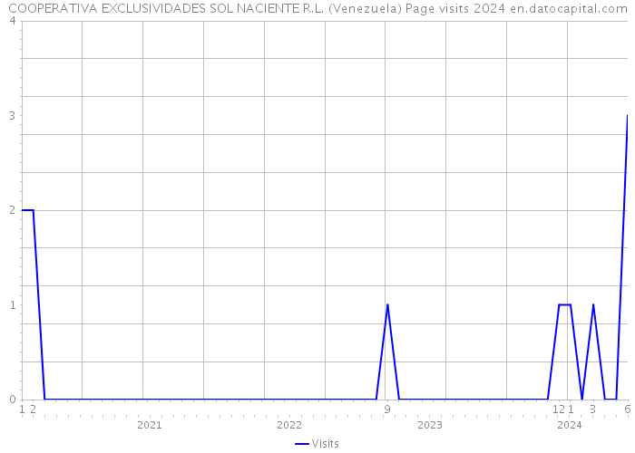 COOPERATIVA EXCLUSIVIDADES SOL NACIENTE R.L. (Venezuela) Page visits 2024 