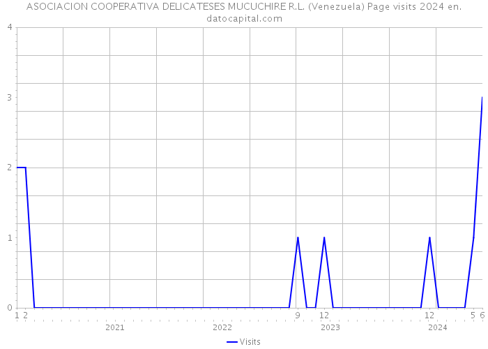 ASOCIACION COOPERATIVA DELICATESES MUCUCHIRE R.L. (Venezuela) Page visits 2024 