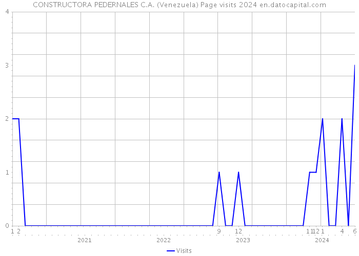 CONSTRUCTORA PEDERNALES C.A. (Venezuela) Page visits 2024 