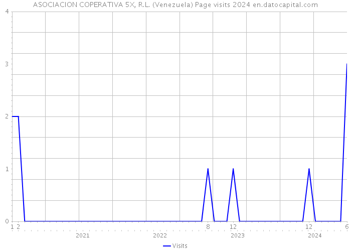 ASOCIACION COPERATIVA 5X, R.L. (Venezuela) Page visits 2024 