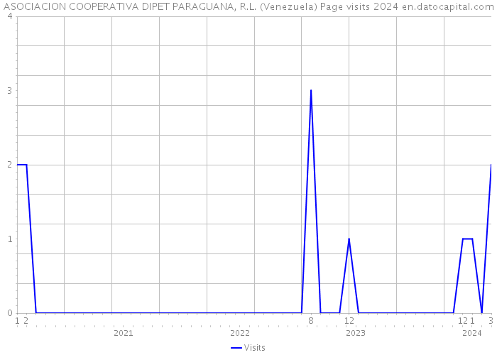 ASOCIACION COOPERATIVA DIPET PARAGUANA, R.L. (Venezuela) Page visits 2024 